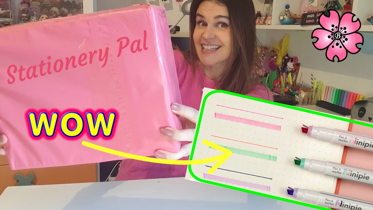 CANCELLERIA GIAPPONESE mai vista prima: LA BOX ROSA di Stationery Pal *epic*
