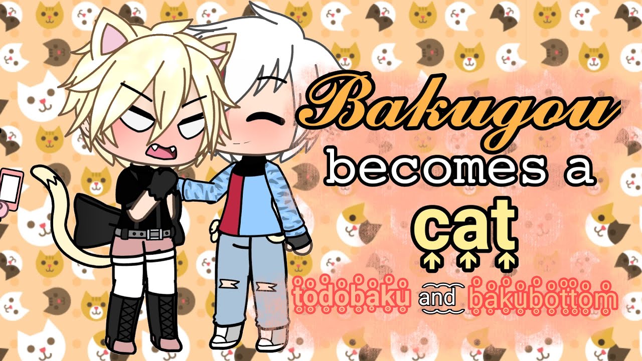 Bakugou becomes a cat//todobaku//1/1//glmm