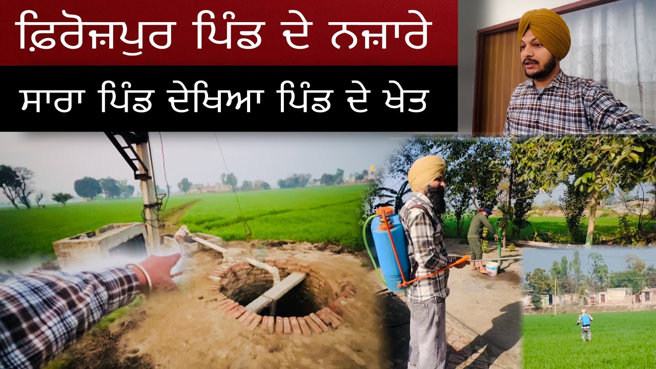 Firozpur 