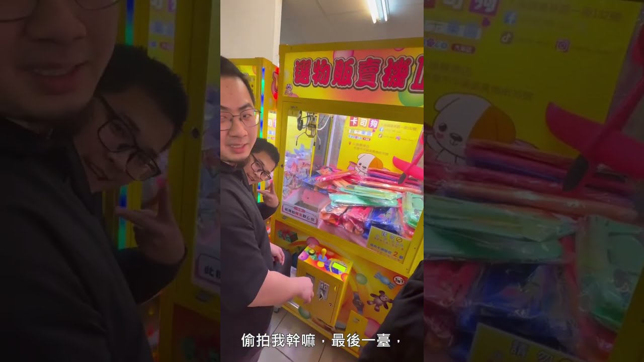 挑戰賽小貓