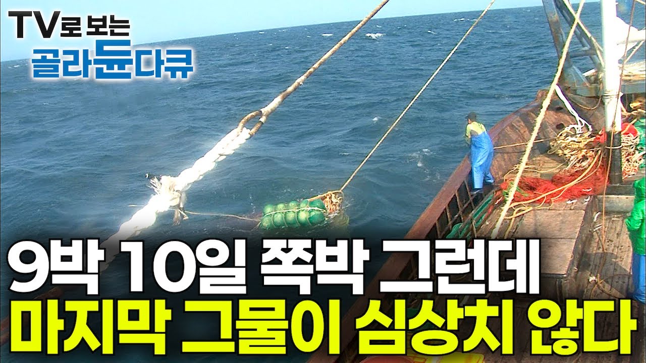 학교 운동장만 한 그물 찢어질 듯 올렸는데 갈치 반 이거 반?｜막막했던 9박 10일 마지막에 대박 터졌다!｜바다 위 40년 외길인생｜거문도 만선 갈치잡이｜극한직업｜#골라듄다큐