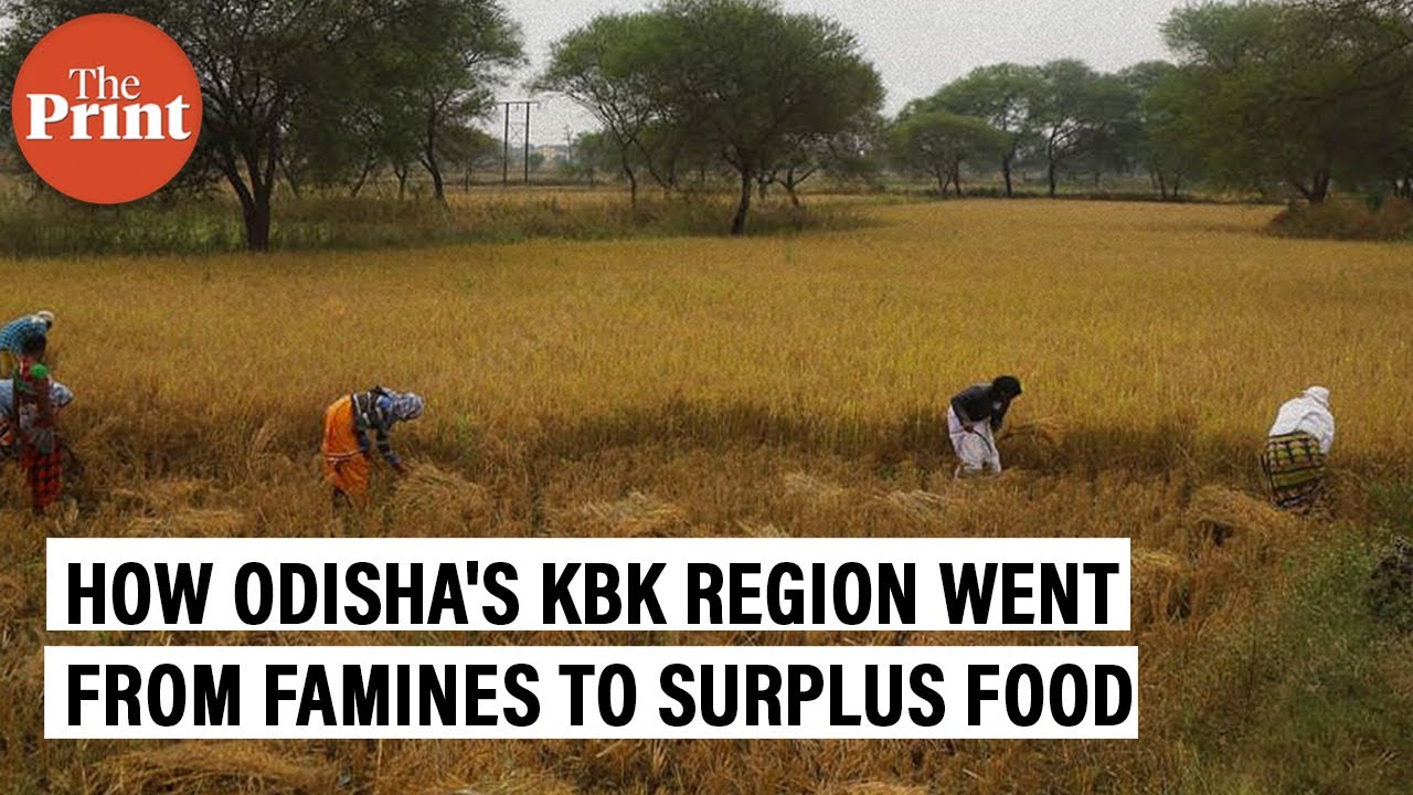Starvation deaths to surplus food production — How Odisha’s KBK corridor saw a complete turnaround
