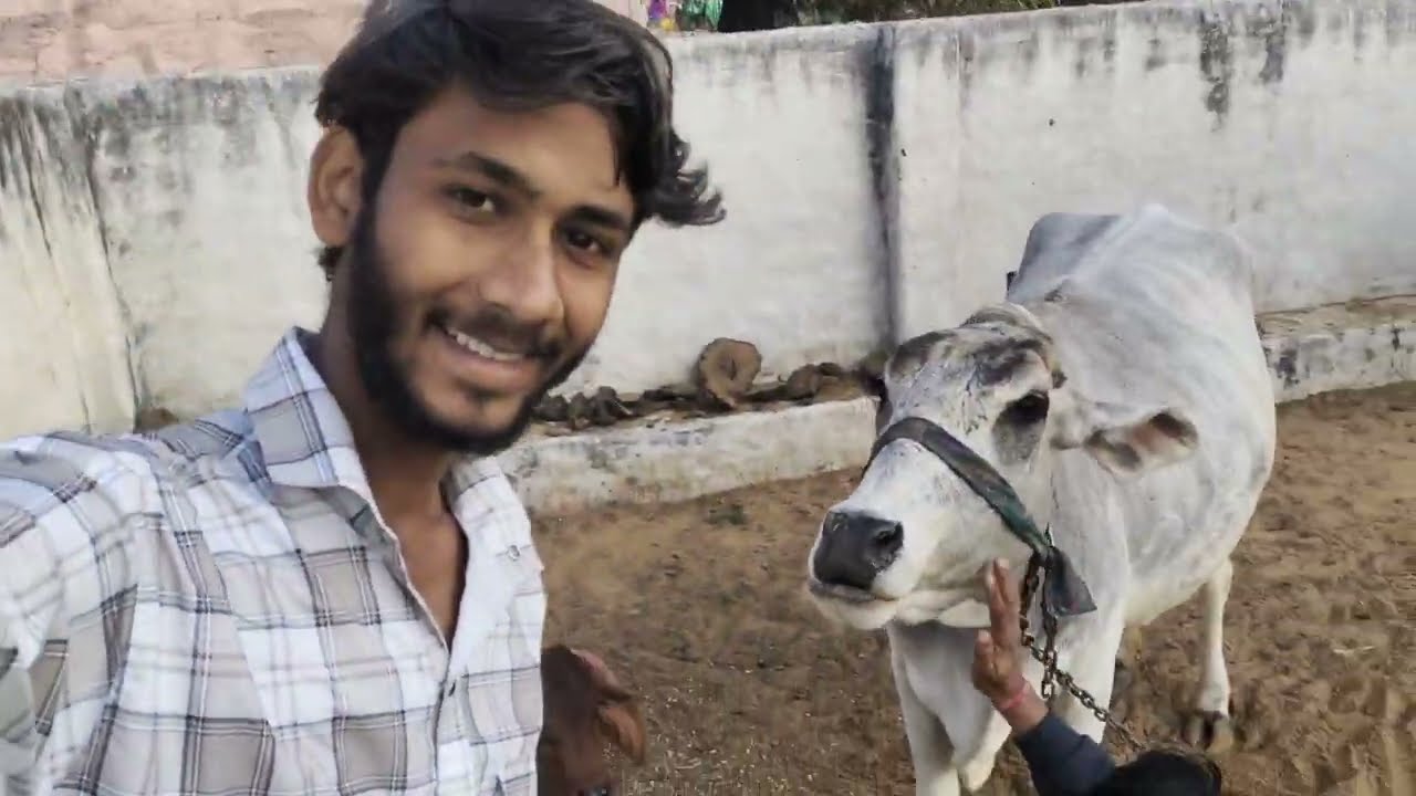 Makarsakranti special vlog 😅 #sachindhabaivlog 