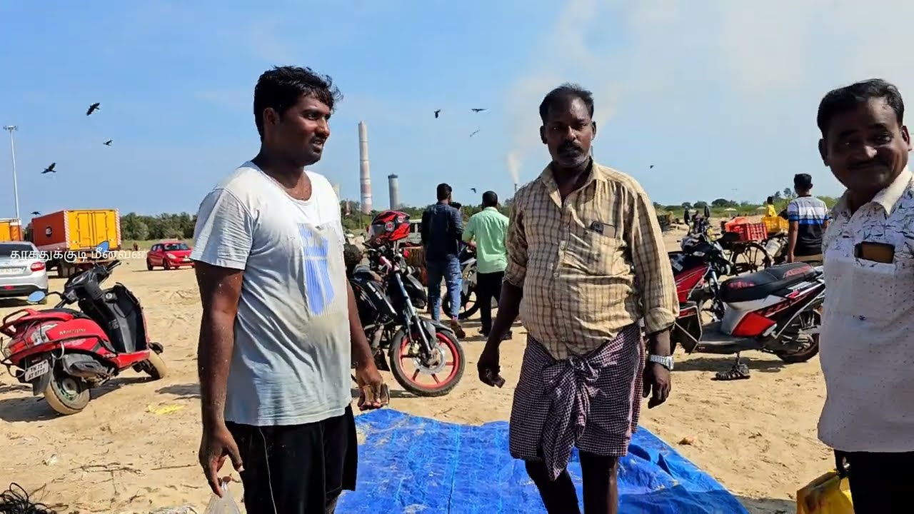 இந்த YouTube கடைசியில் எங்க கொண்டுவந்து நிப்பாட்டி இருக்கு..மீன்கள் விற்பனை செய்ய ராஜதந்திரம்