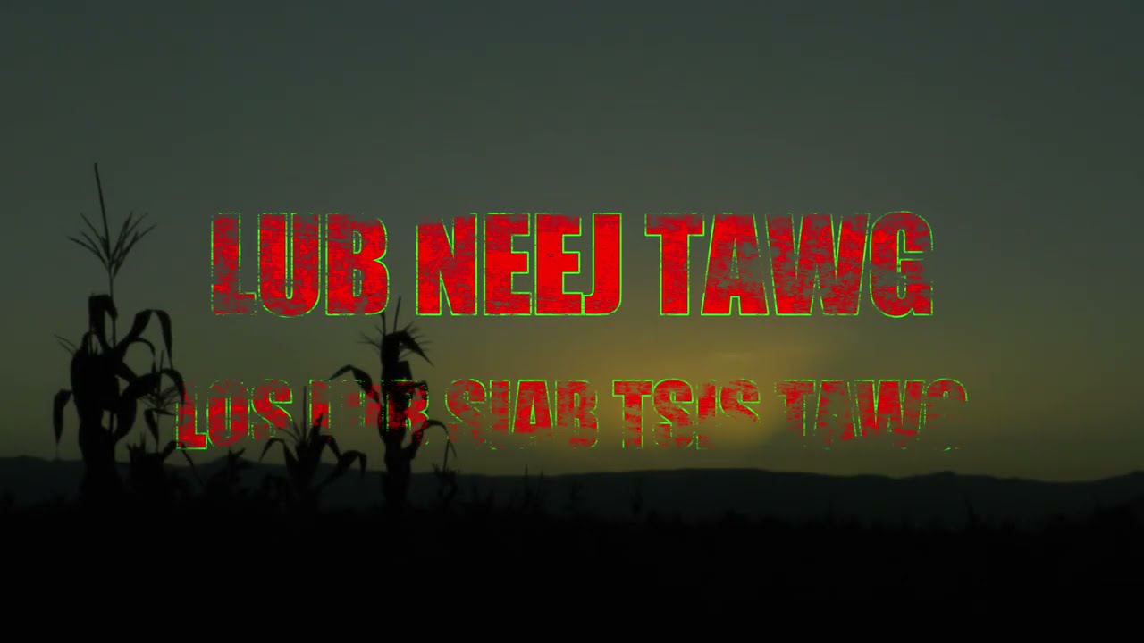 LUB NEEJ TAWG LUB SIAB TSIS TAWG (Pain & Sadness Life Story)