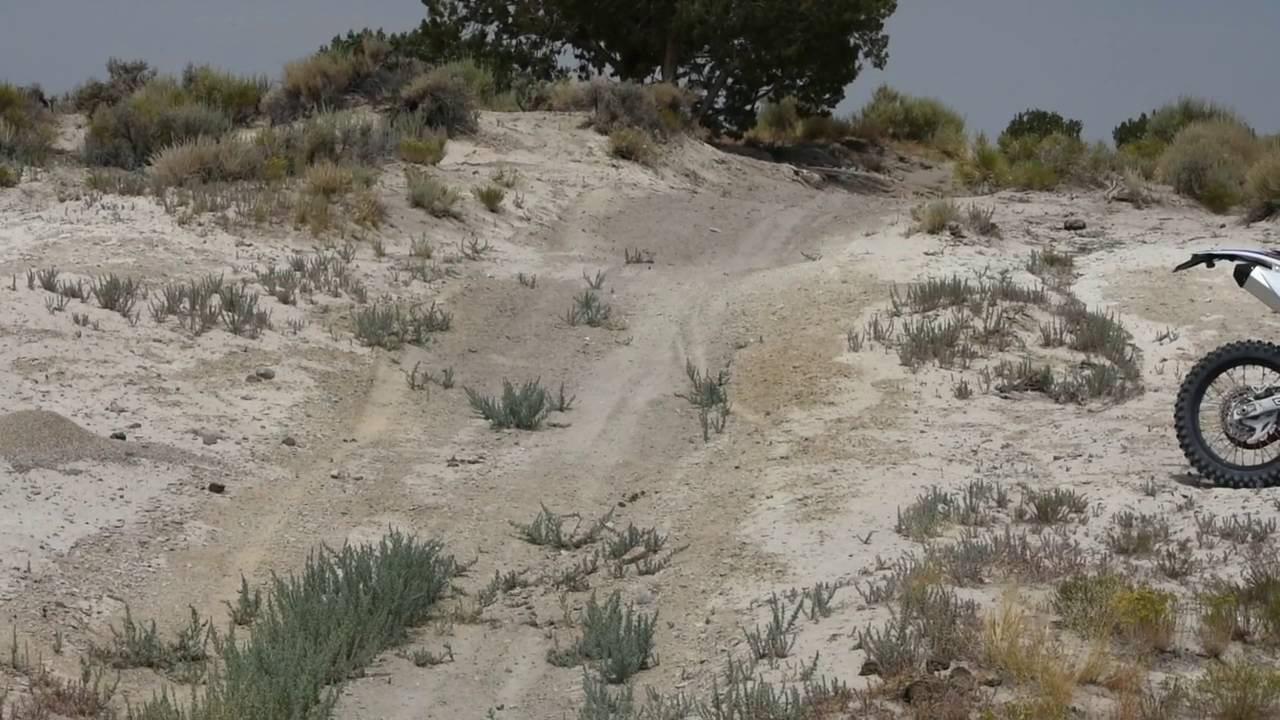 Pitster Pro:  Introducing The All New LXR 250F