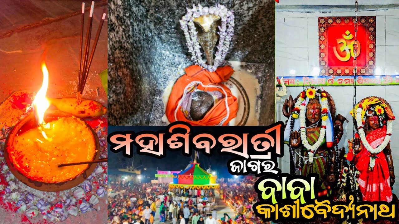 ଅନୁଗୋଳ, ମଝିକା ମହାଶିବରାତ୍ରି ଜାଗର 🙏🪔 | Maha Shivratri Jagar | 