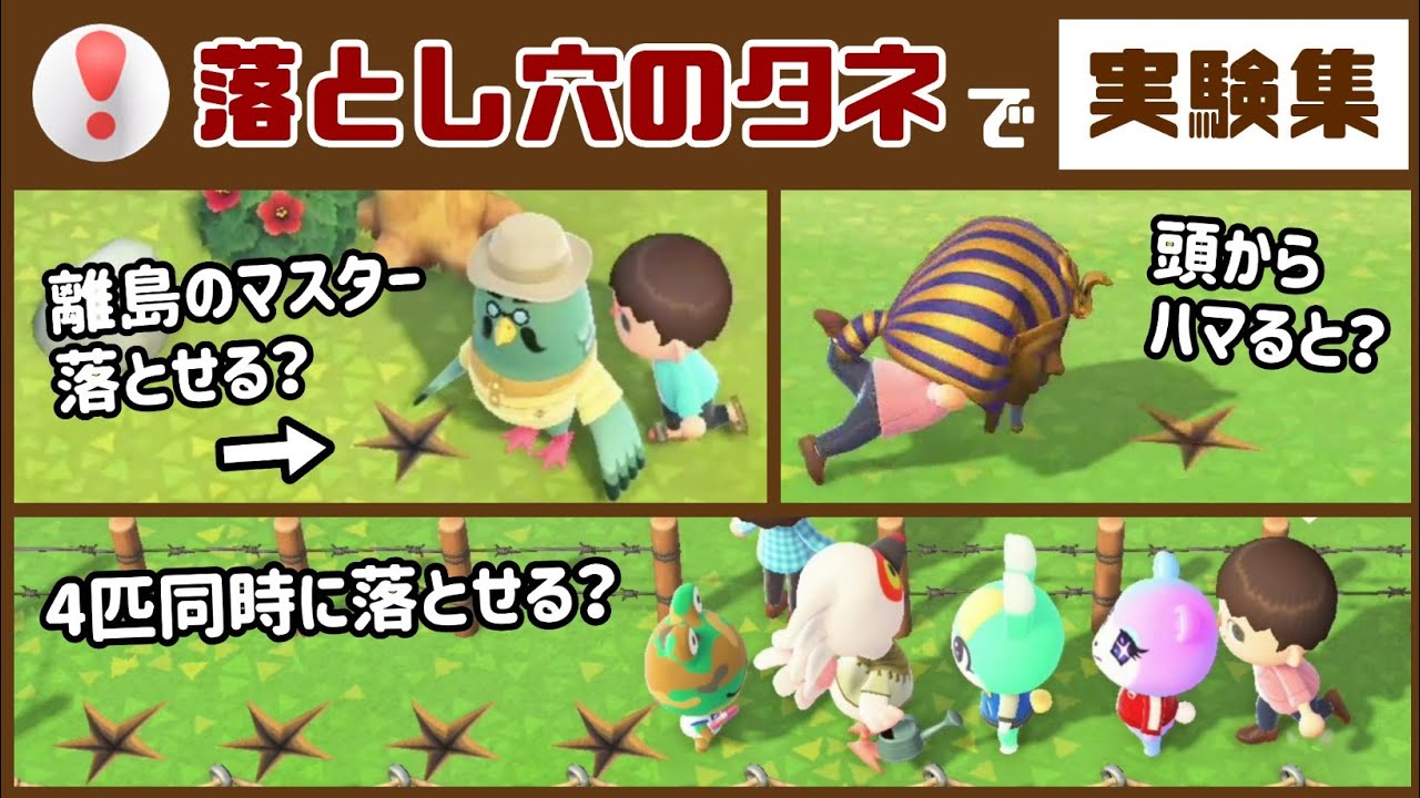 【あつ森】小ネタ検証！「おとしあなのタネ」で気になる事いろいろ実験してみた集！【あつまれ どうぶつの森】@レウンGameTV