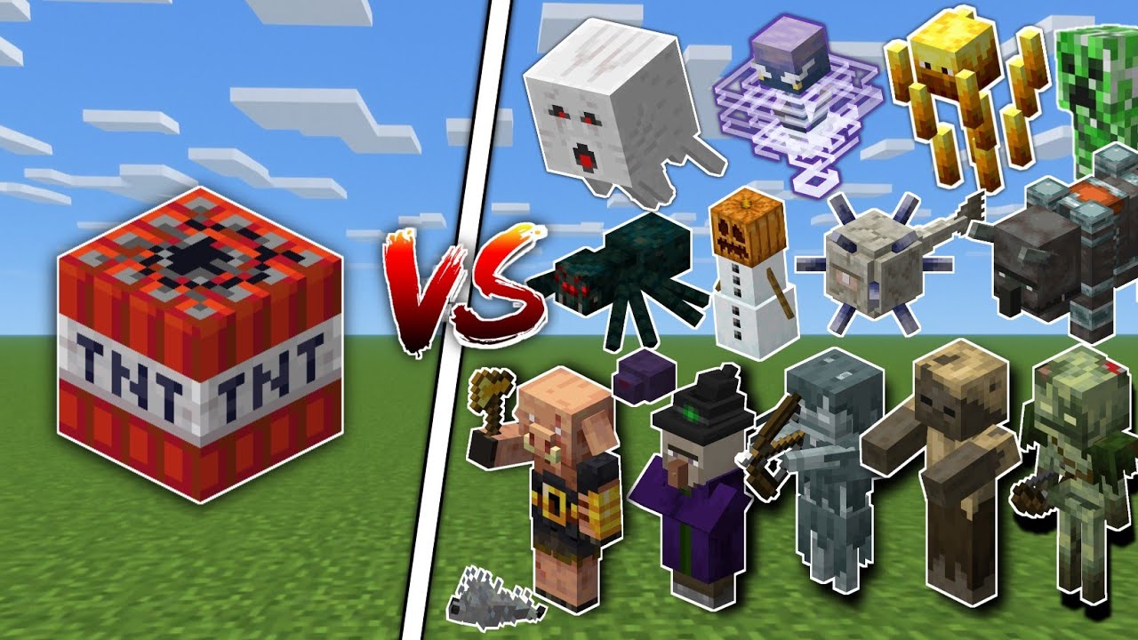 TNT VS MOBS