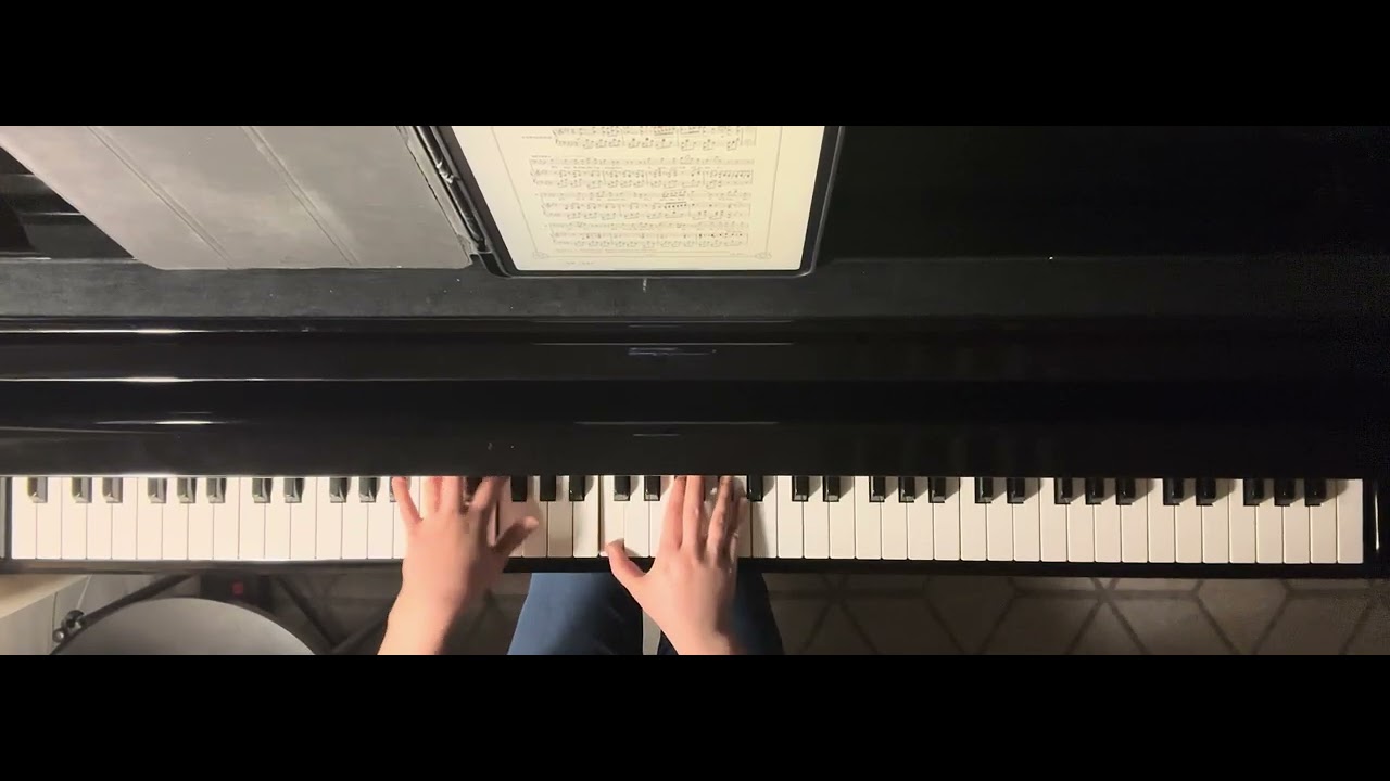 [오페라아리아] G. Donizetti - Di tua beltade immagine from 