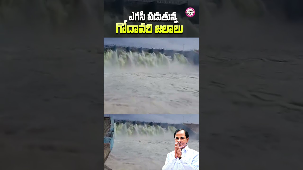మల్లన్న సాగర్ రిజర్వాయర్ లోకి దుంకుతున్న గోదావరి జలాలు #kaleshwaramproject #MallannaSagar