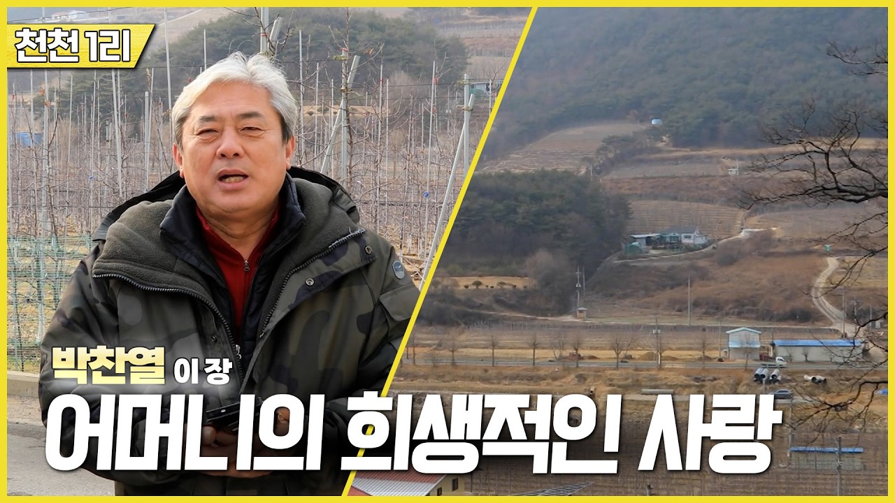 新우문현답 | 468회 엄마의 숙명 | 경북 청송군 현서면 천천 1리  (KBS 2026.02.11.수 방송)
