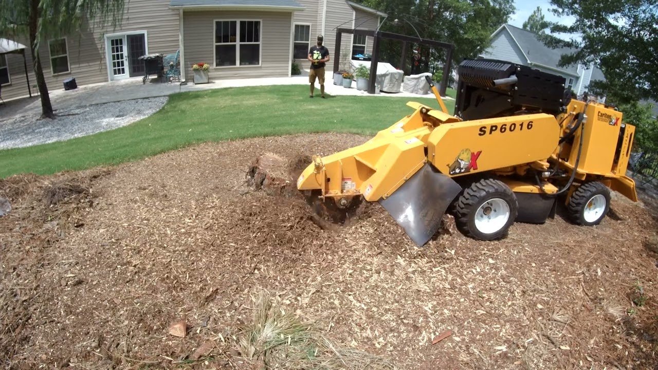 Carlton SP6016 Grinding a 30' Pine Stump