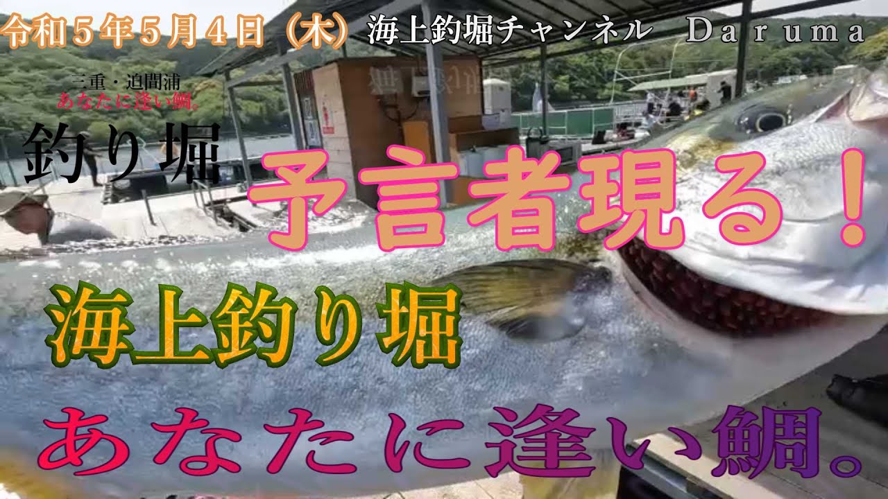 【海上釣堀】南伊勢あなたに逢い鯛釣行GW連日釣行です。