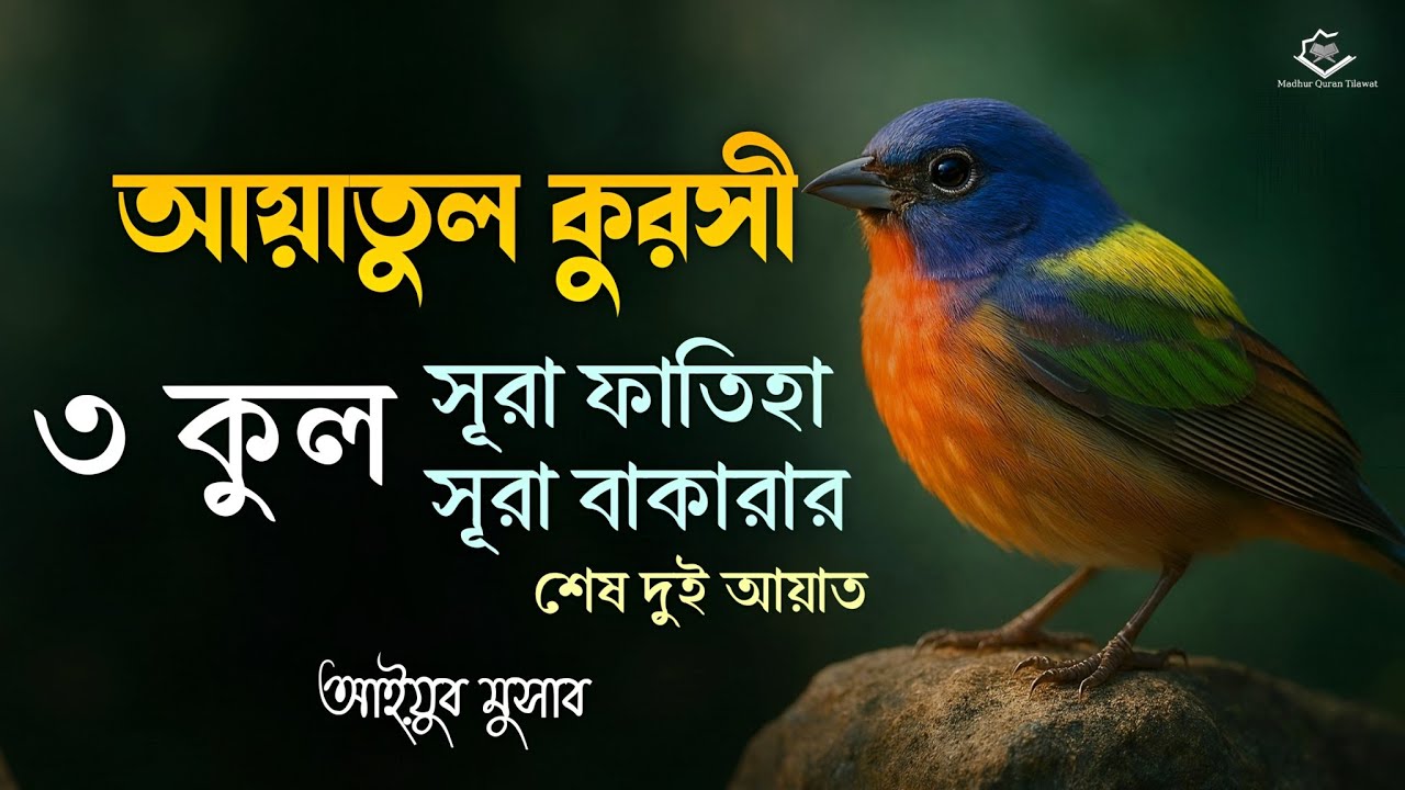 ৩ কুল, আয়াতুল কুরসী, সূরা ফাতিহা,সূরা বাকারা শেষ দুই আয়াত┇Start Your Day with Barakah |Ayoub Mosab