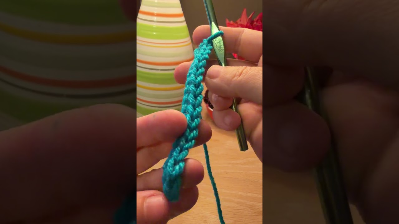 Crochet 101- making a Single Crochet in the chain row. 