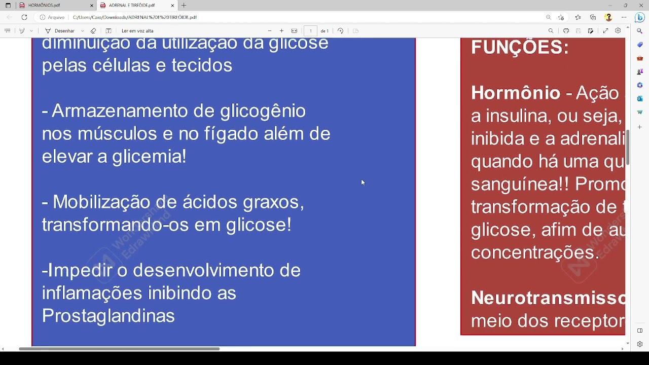02 - Eixo Adrenal - segunda explica&ccedil;&atilde;o com coment&aacute;rios