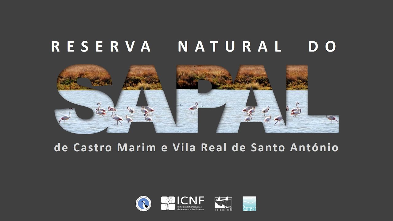Dia Aberto - Reserva Natural do Sapal de Castro Marim e Vila Real de Santo António - 2021