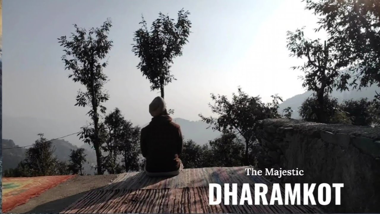 Dharamkot Vlog - Zostel Dharamkot - Zostel Cafe Mcleodganj - Cafe Sunshine Dharamkot #travel #hills 