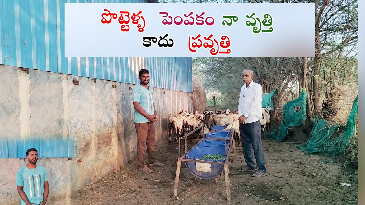 B tech చేసా సరదగా  పొట‌్టెళ‌్ళు పెంచుతున‌్నా
