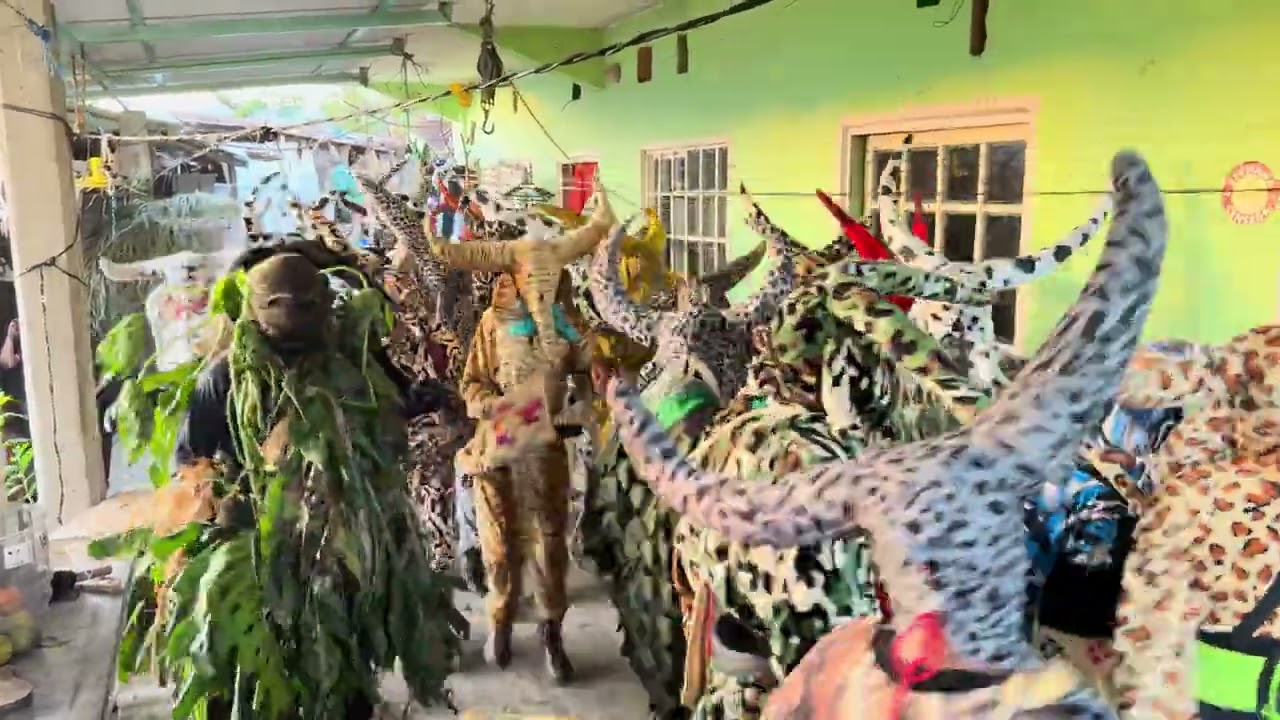 Carnaval San Pedro Petlacotla 2026| Puebla