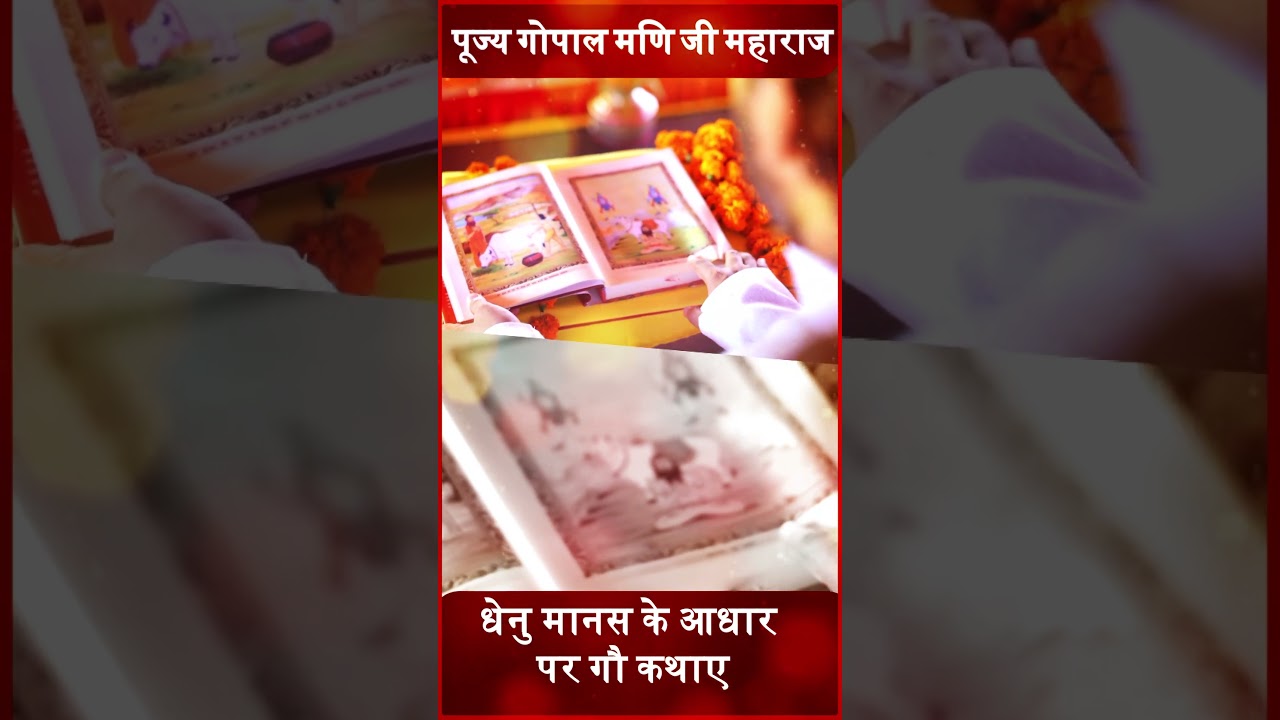 क्या धेनु मानस पर आज भी रिसर्च हो रही है ?#gopalmanijimaharaj #uttarakhand #gaumata #gausevak