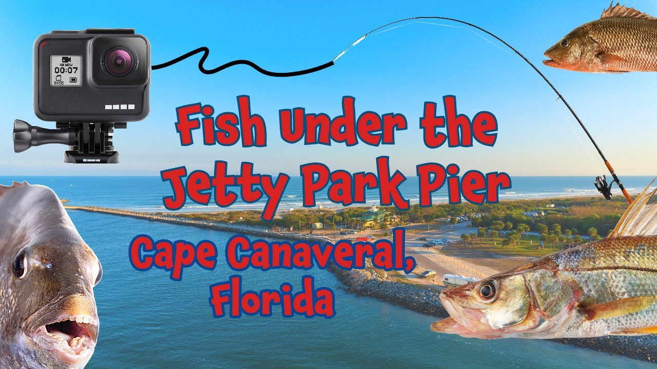 What Fish are Under Pier at Jetty Pier Park (Port Canaveral) #gopro