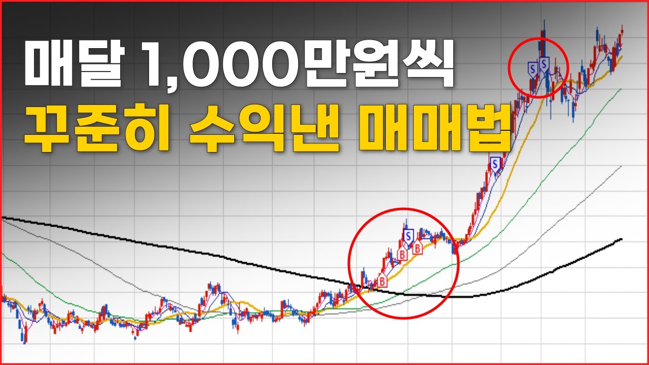 월 1,000만원씩 꾸준히 수익 낸 나만의 인생 매매기법(수익 인증)