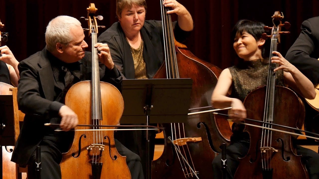 VIVALDI - Concerto for Two Cellos – René Schiffer, Mimé Brinkmann – Apollo's Fire