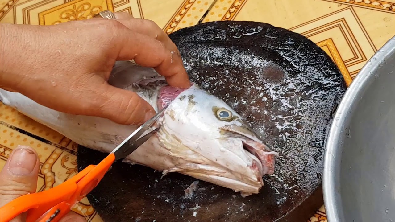 Hướng dẫn l&agrave;m sạch c&aacute; B&oacute;p để chế biến m&oacute;n ăn | Khi bạn kh&ocirc;ng nhờ người b&aacute;n c&aacute; l&agrave;m gi&uacute;p