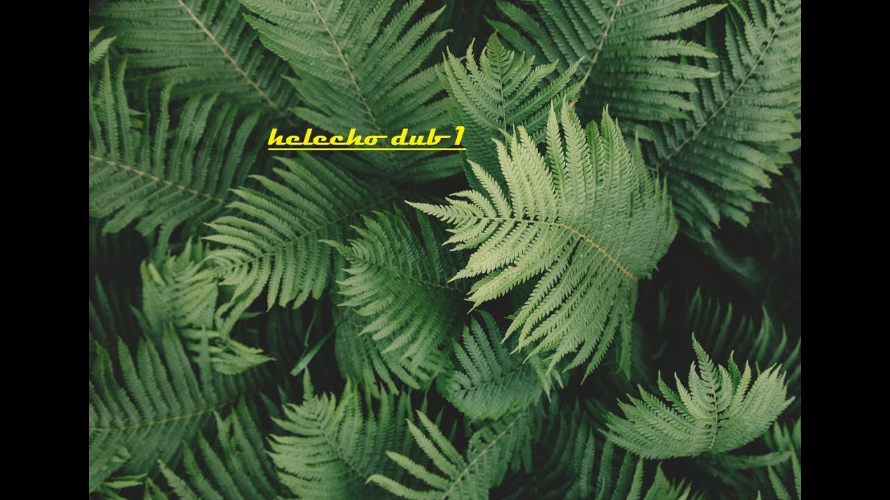Abu AMA – Helecho Dub 1 (2018 Dubplate)