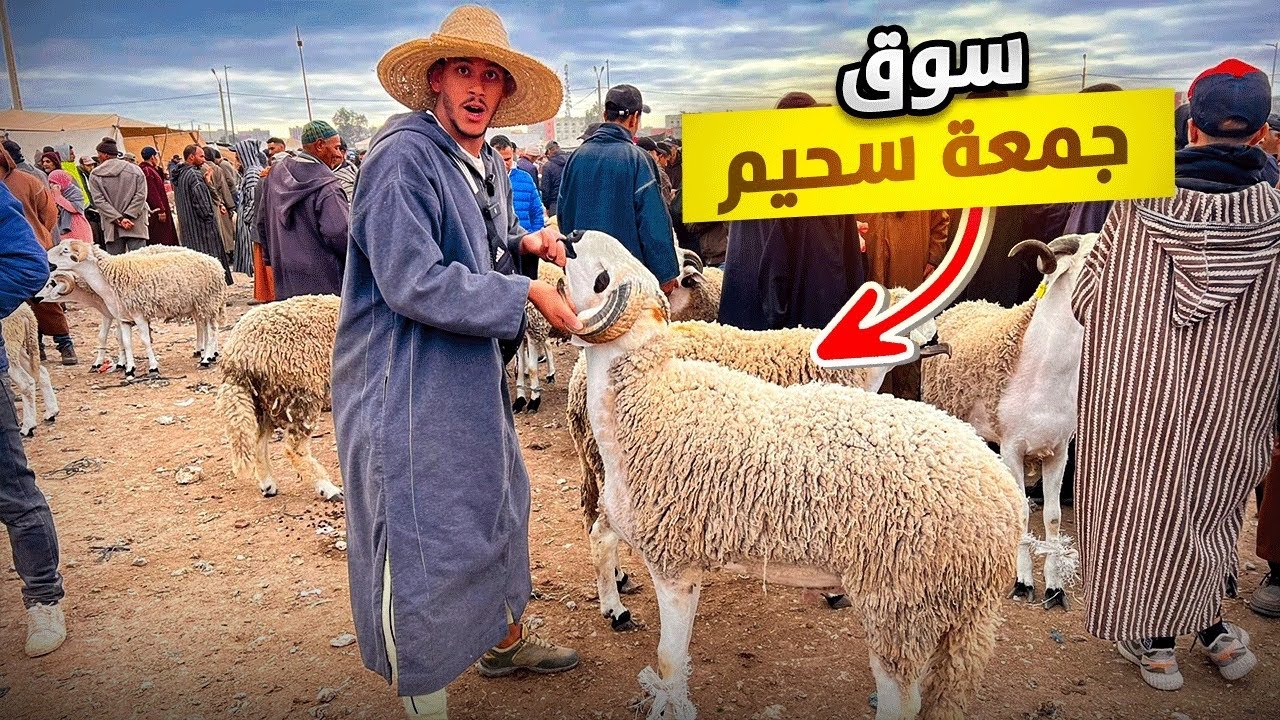 اليوم من سوق جمعة سحيم إقليم أسفى 🇲🇦 مع أثمنة حولي عيد الأضحى 🐑 بتاريخ 17/05/2024