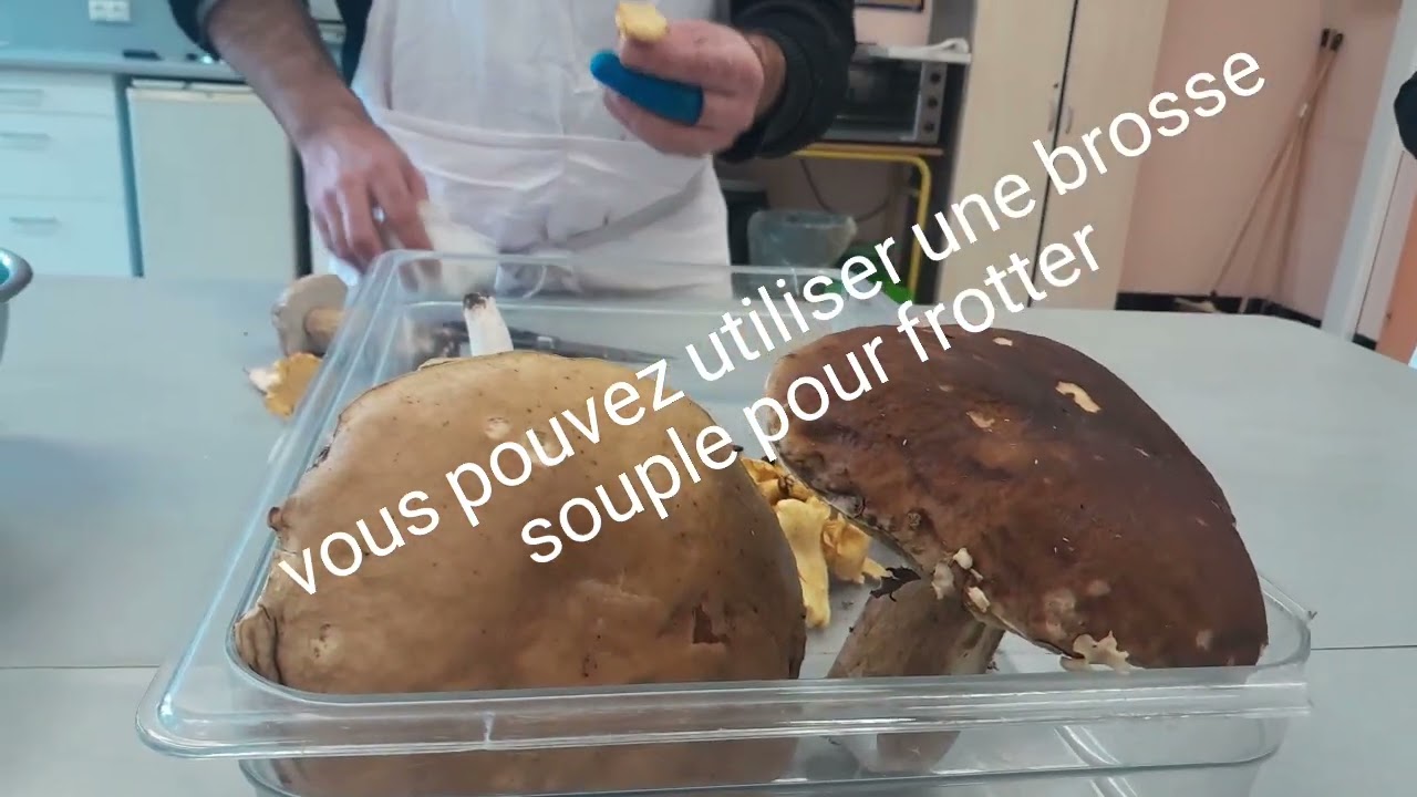 Cours de cuisine: nettoyer des champignons des bois