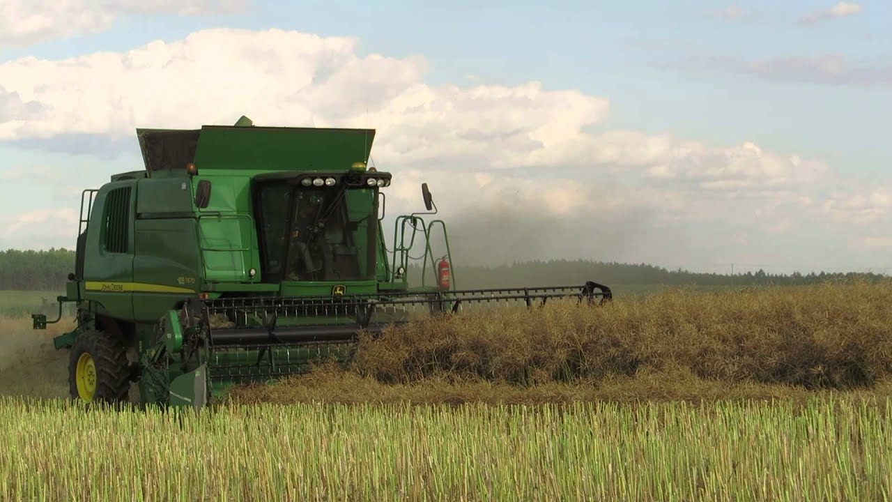 Żniwa 2013 Czarne Złoto John Deere T670