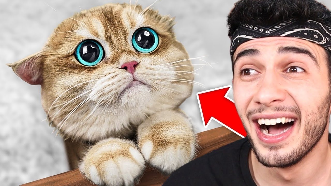 YAA DEMEME CHALLENGE! (İMKANSIZ)