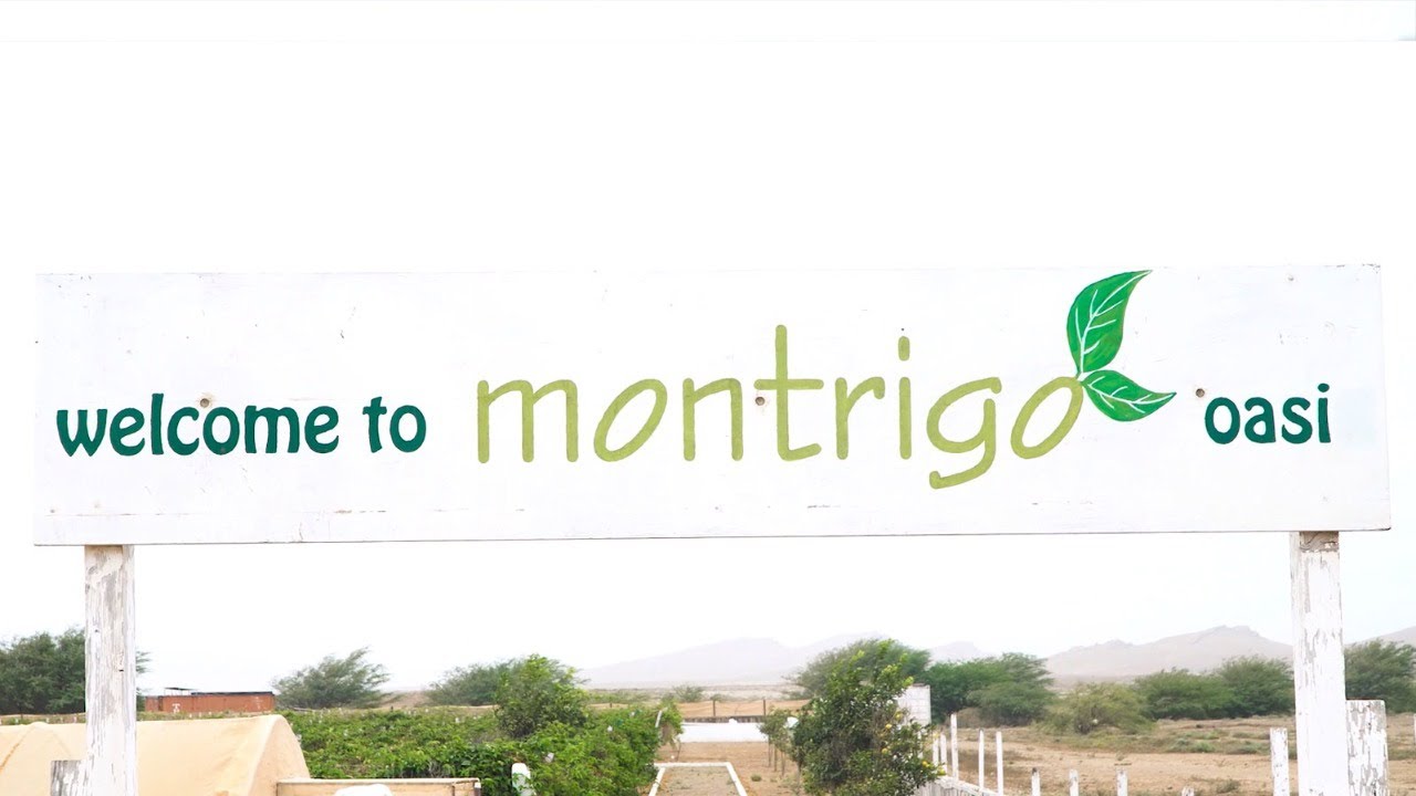 AGRICOLTURA A CAPO VERDE | OASI MONTRIGO BOA VISTA