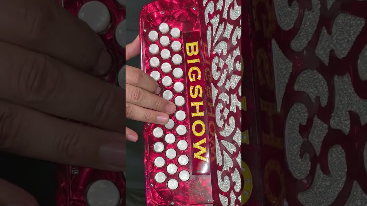 La rubia y la morena version bigshow #acordeon norteño by #gabbanelli #principiante #shorts cover