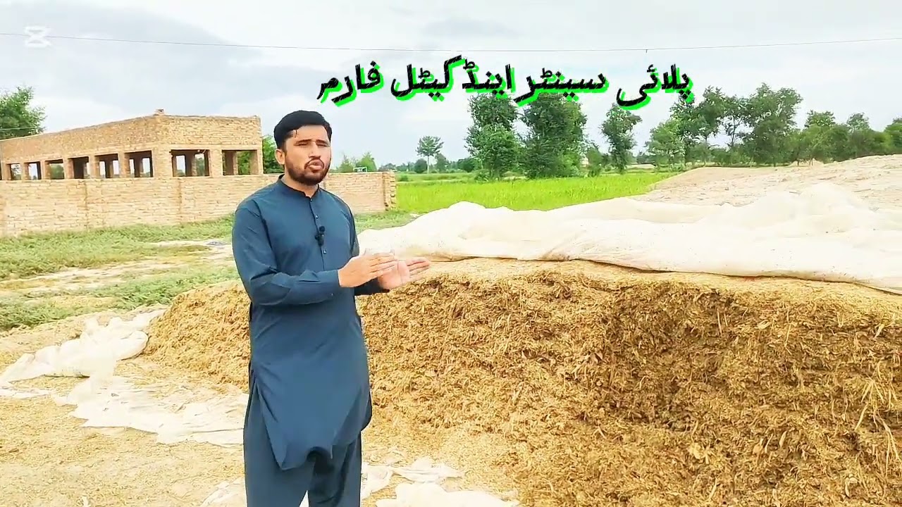 Information About Silage 