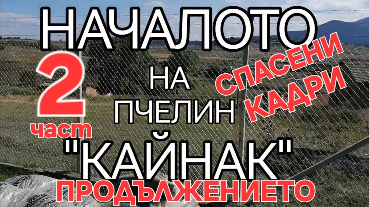  ПЧЕЛИН 