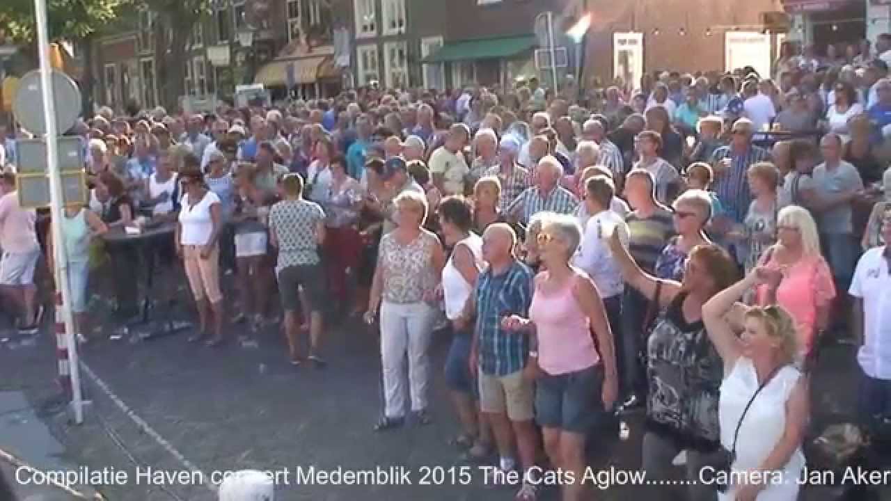 The Cats Aglow Haven concert Medemblik 2015 compilatie