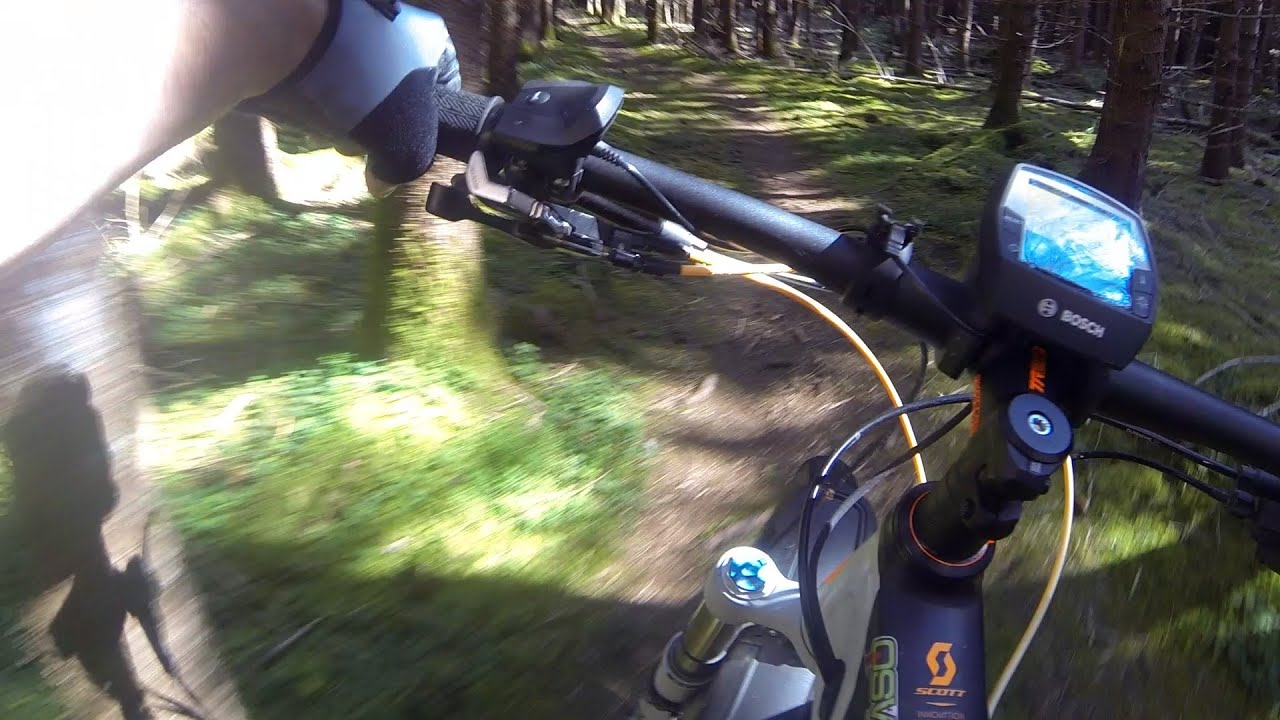 Waldradeln: M&ouml;schenfeld - Baldham - Zorneding: Wurzeltrails