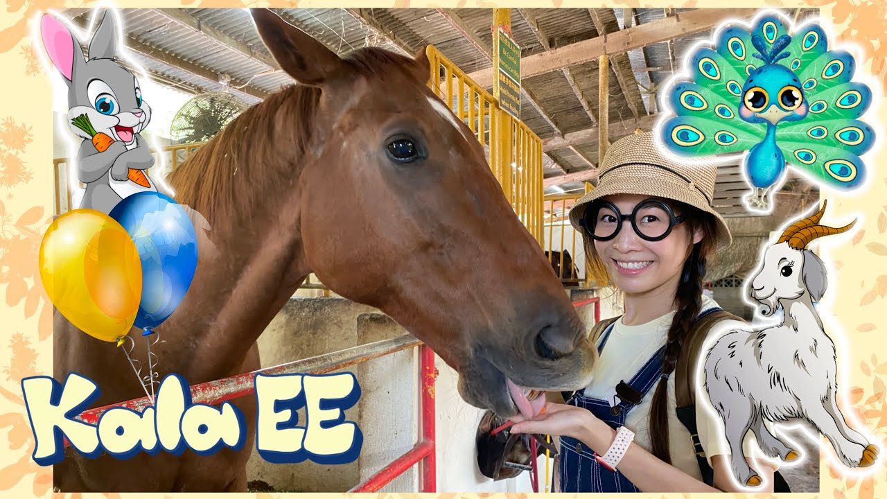 動物|農場動物|大自然|Learning farm animals & birds with Kala EE|廣東話教學|兒童中文學習|親子活動|生活學習|鳥類|馬|羊|鴕鳥|兔仔|天鵝