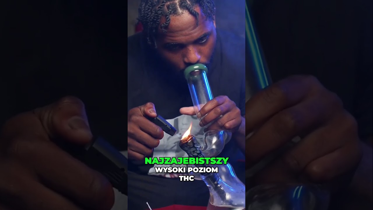 Indica czy Sativa?  Jak wybrać najlepszy rodzaj konopi indyjskich?!