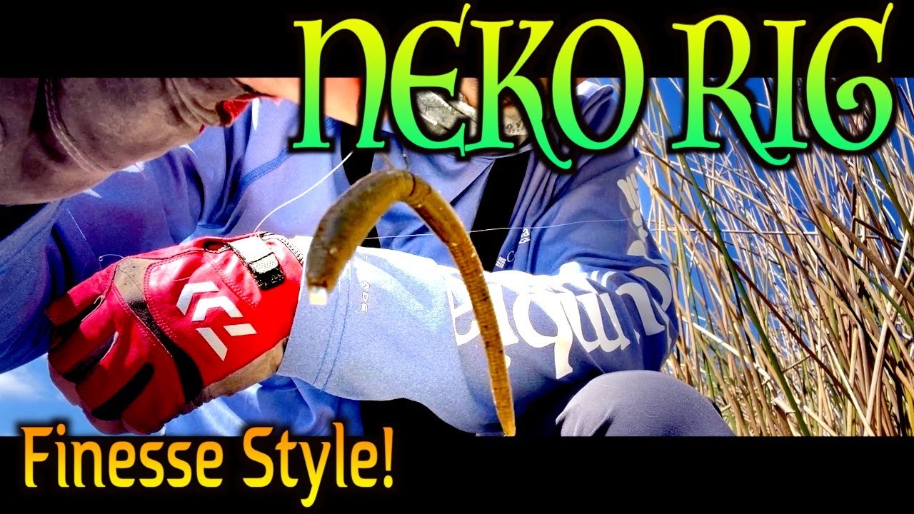 Neko Rig Explained – Why This Japanese Rig Catches Everything