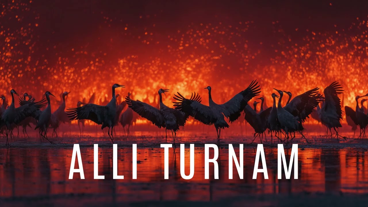 Allı Turnam – Darkbozlak (Dark Cover)