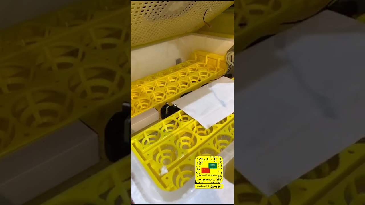 تغطيتي لمحلات فقاسات البيض بالقرب من سوق الحمام . فقاسات بيض . قطع غيار الفقاسات .