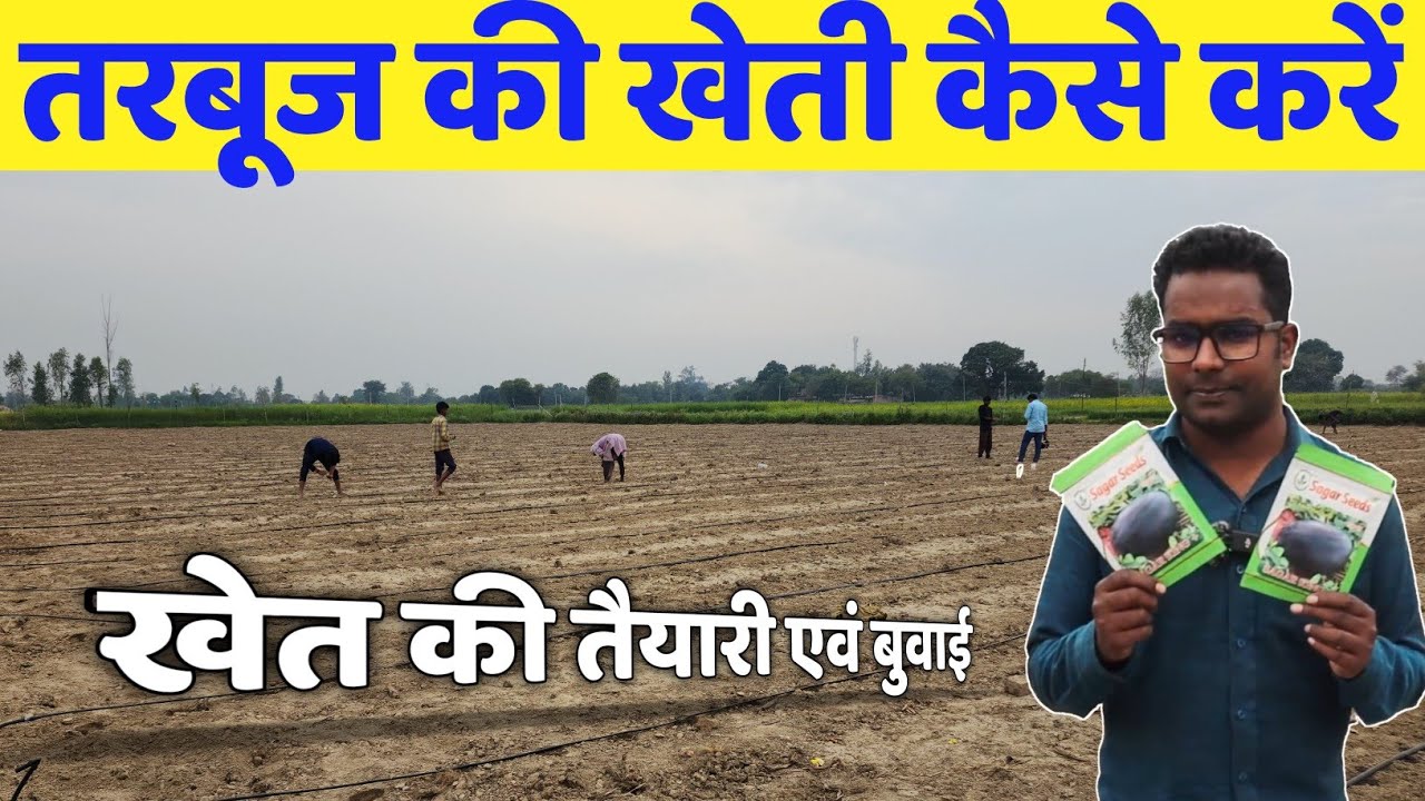 अबकी बार 400 पार | tarbuj ki kheti | तरबूज की खेती एवं खेत की तैयारी & बुवाई | tarbooj ki kheti
