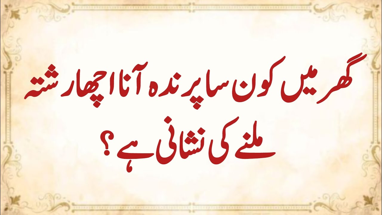  30+ Amazing General Knowledge Question in Urdu |Paheliyan in  Islamic |Test our Brain with Hira