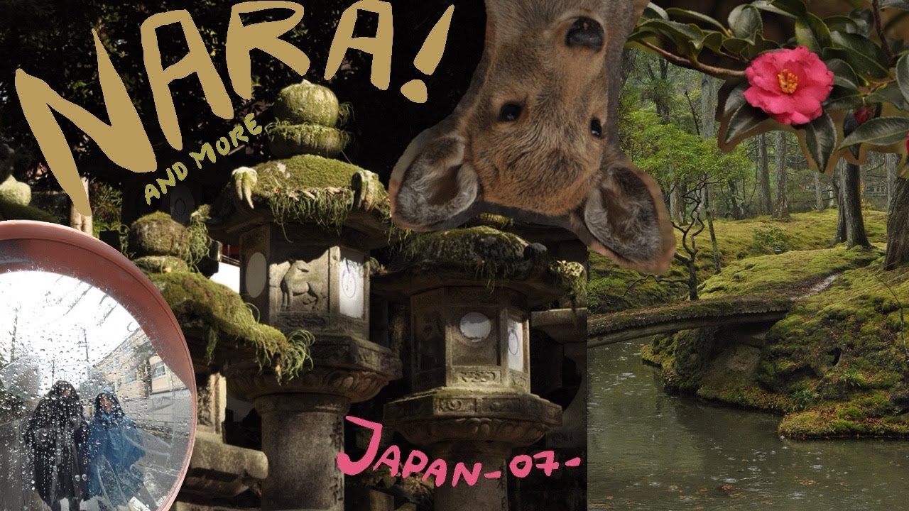 [explore 2.7] Nara, Ohara & Kamikatsura. Through sun and rain, meeting many deers & trees.