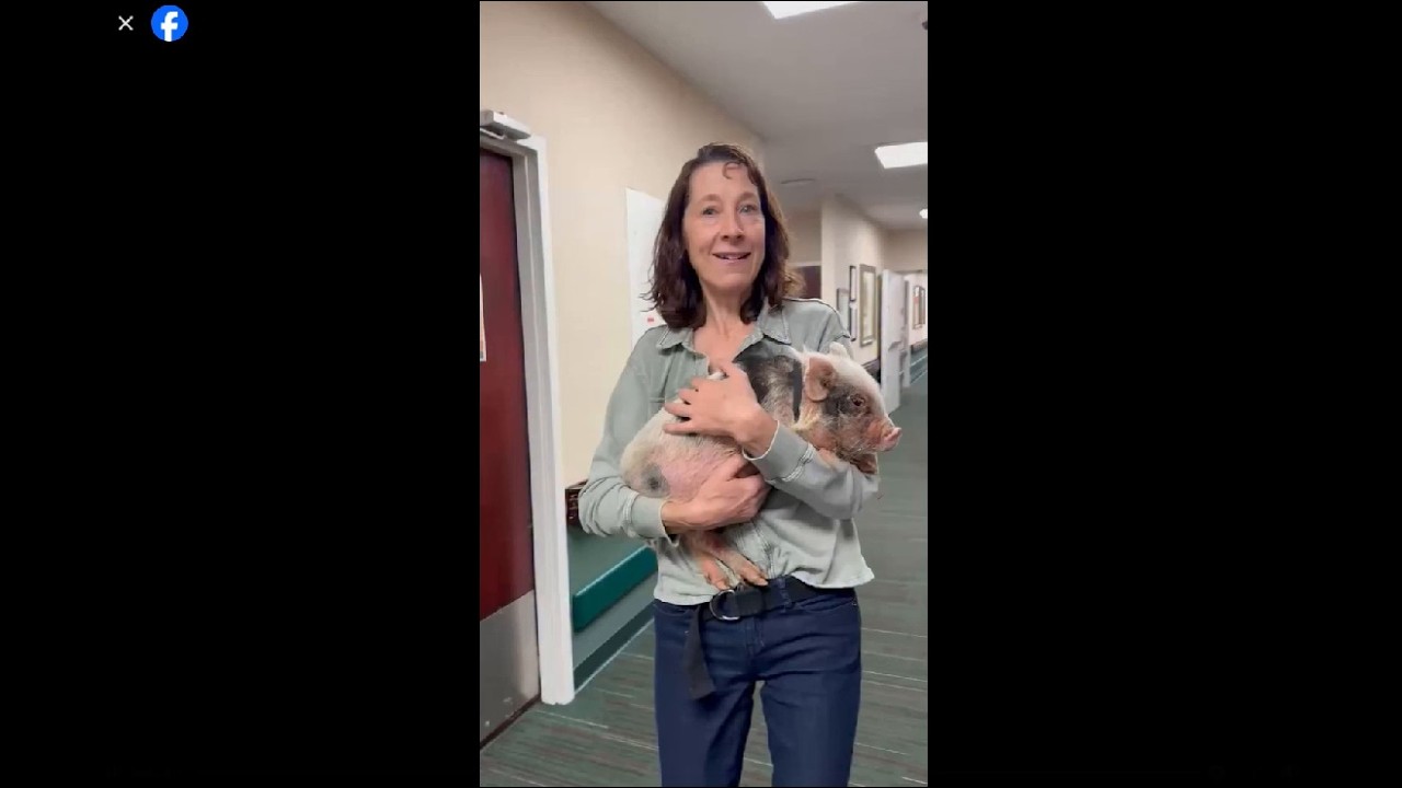 Goldy'sFarmAnimalSanctuary (By Janine from Aiken, SC) Outreach Visit W/Percy Pig & Wanda